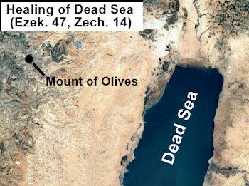 Healing of the Dead Sea (Ezek. 47, Zech. 14)