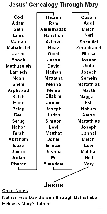 Jesus' Genealogy Through Mary