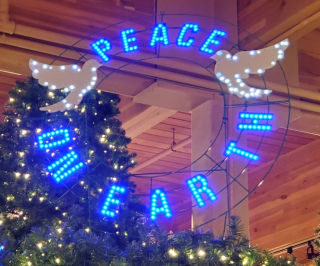 Did Jesus bring peace to earth