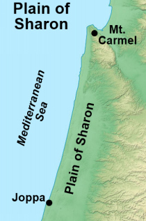 Location of Plain of Sharon in Ancient Israel Map